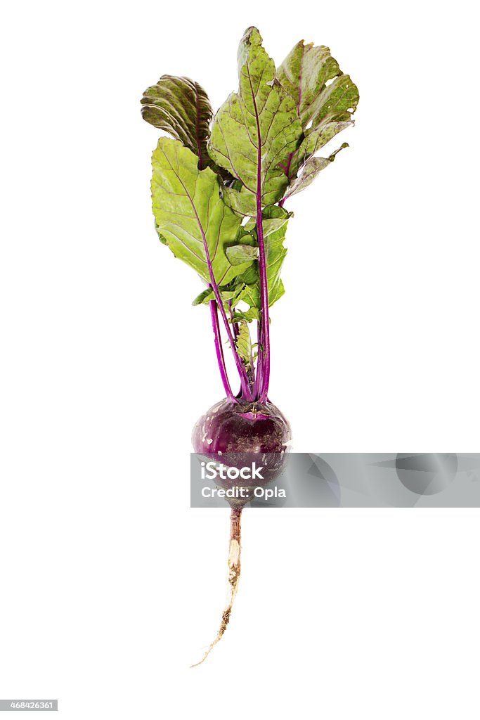 Kohlrabi - Lizenzfrei Freisteller – Neutraler Hintergrund Stock-Foto