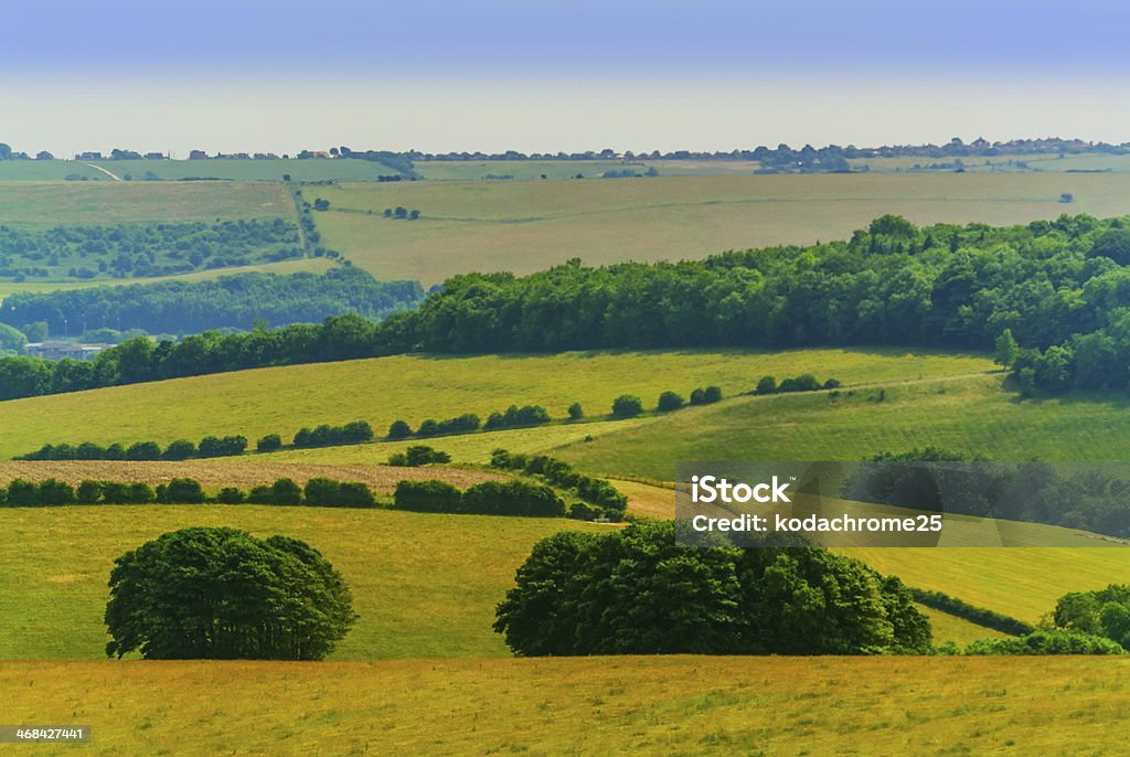 Colinas de south downs - Foto de stock de Actividades recreativas libre de derechos