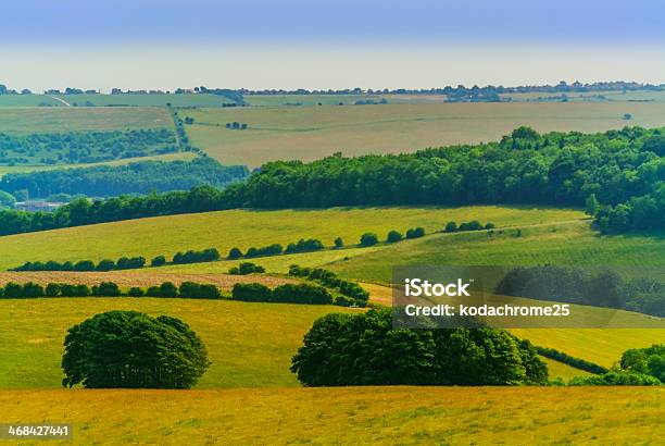 Colinas De South Downs Foto de stock y más banco de imágenes de Actividades recreativas - Actividades recreativas, Agricultura, Aire libre