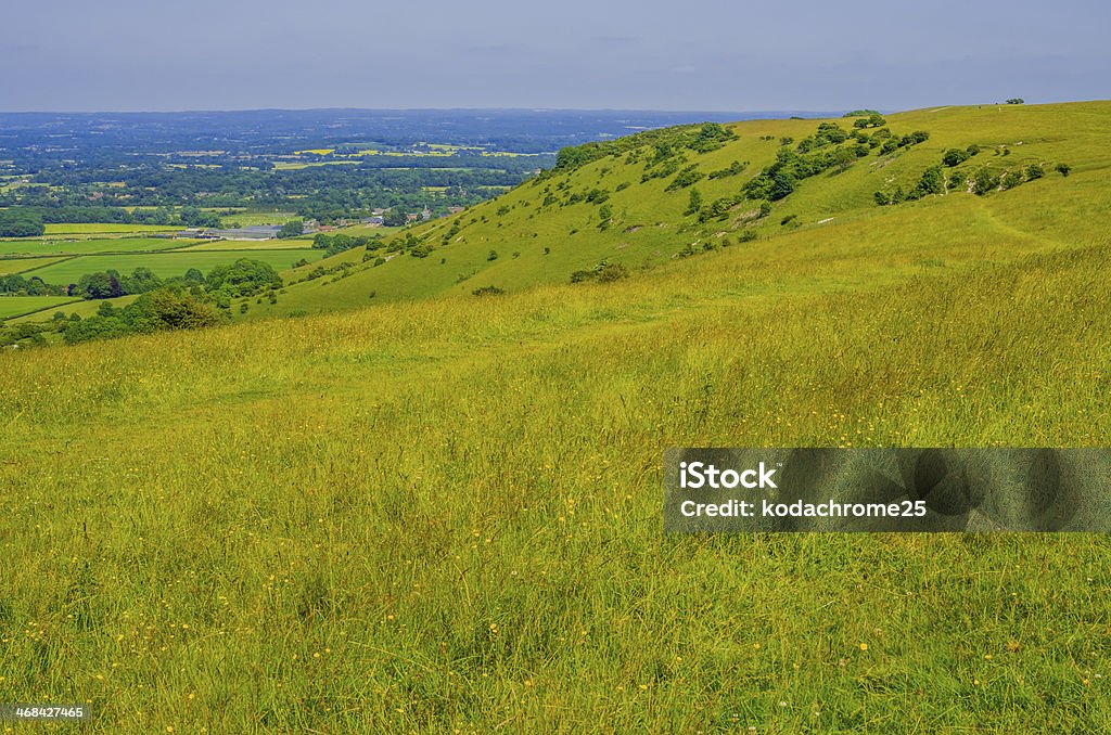 south downs - Royalty-free Agricultura Foto de stock