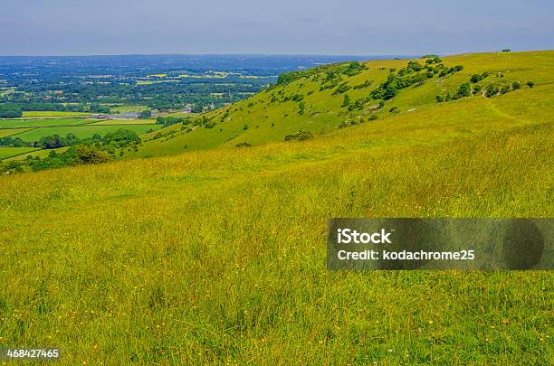 South Downs - Fotografias de stock e mais imagens de Agricultura - Agricultura, Ao Ar Livre, Atividade Recreativa