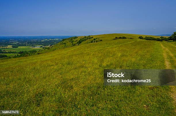 Wzgórza South Downs - zdjęcia stockowe i więcej obrazów Anglia - Anglia, Anglia Południowo-wschodnia, Badanie