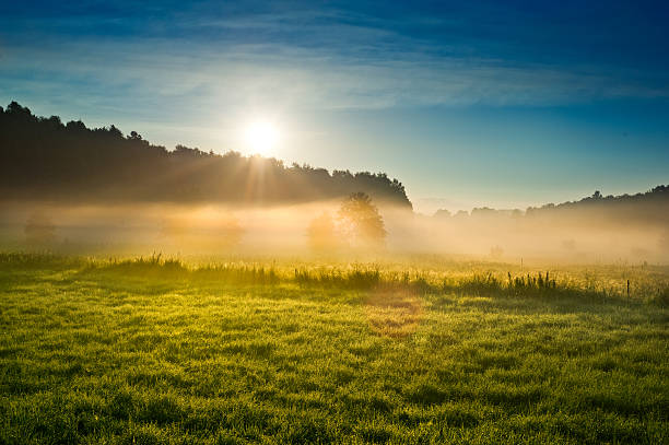 istock Sunrise over the misty field 468428651