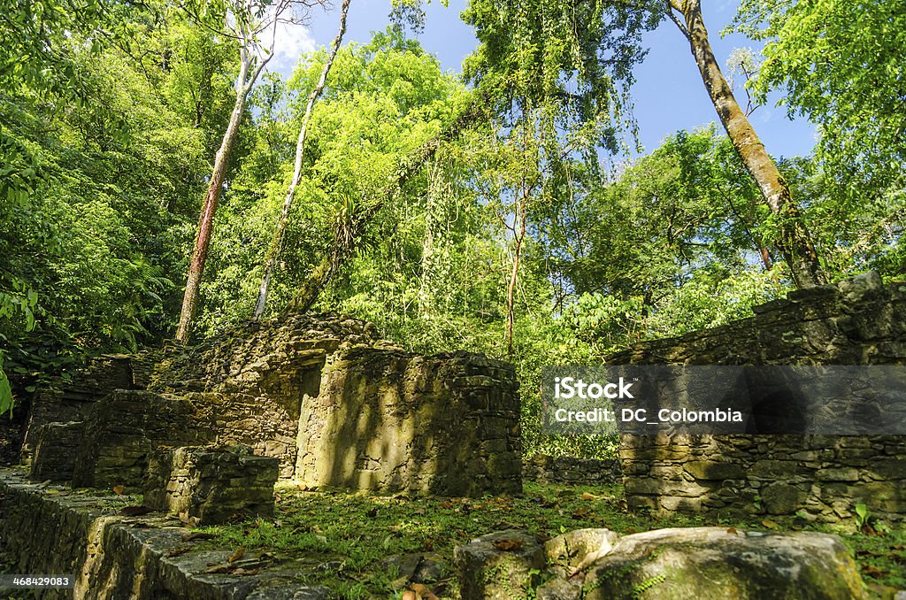 Jungle Ruins Trees growing out of ruins in the jungle near Palenque Ancient Stock Photo