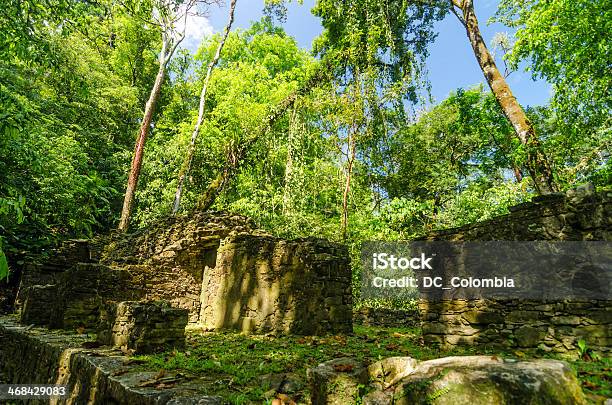 Jungle Ruins Stock Photo - Download Image Now - Ancient, Ancient Civilization, Archaeology