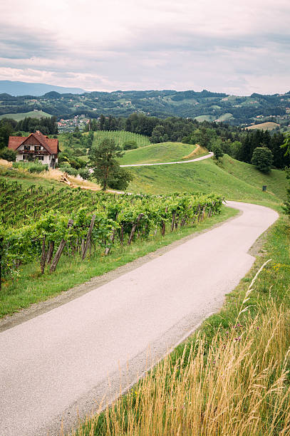 istock Wine Route in Southern Styria 468429106