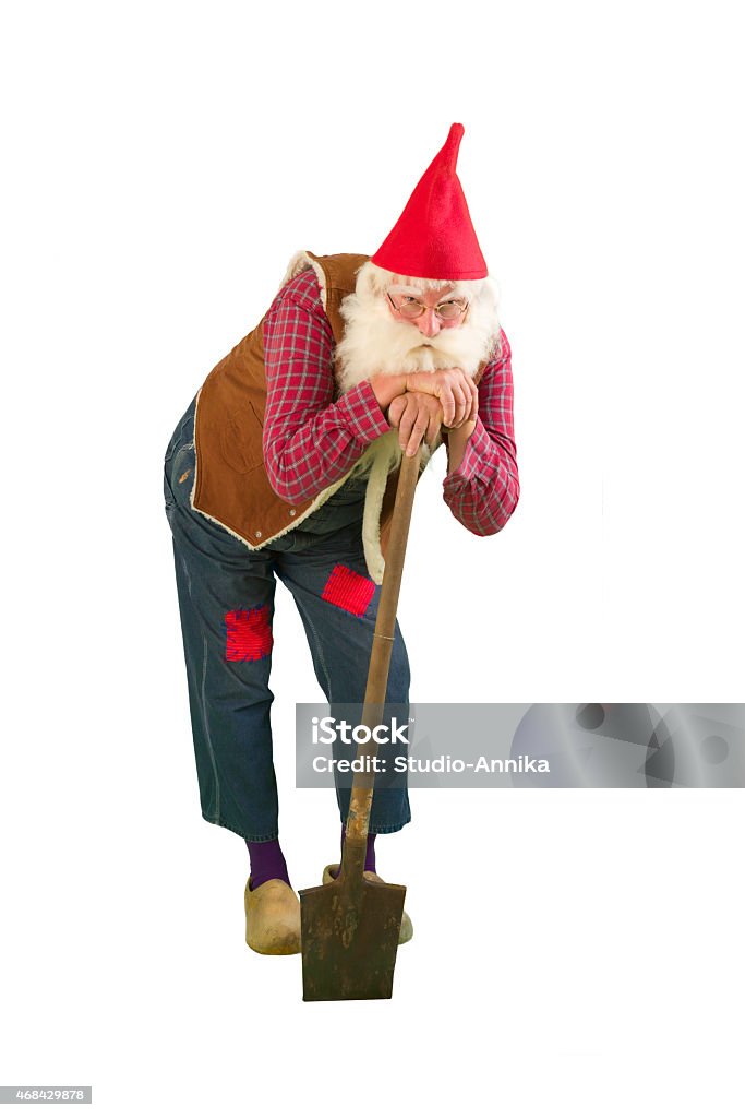 Garden gnome with shovel Senior garden gnome with beard and shovel 2015 Stock Photo