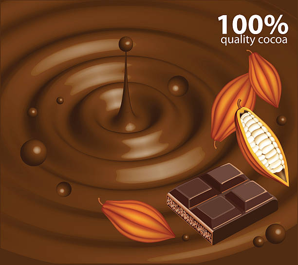 Cioccolato e prodotti del cacao. - illustrazione arte vettoriale