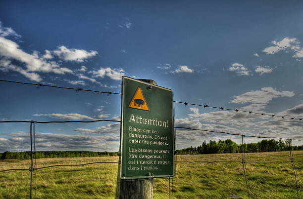 istock Bison sign in the canadian prairies 468431233