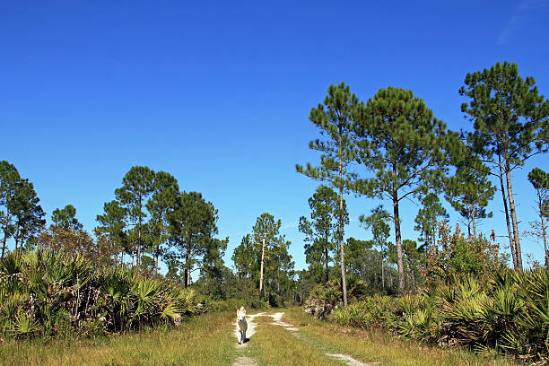 a walk with the dog in the nature of Florida