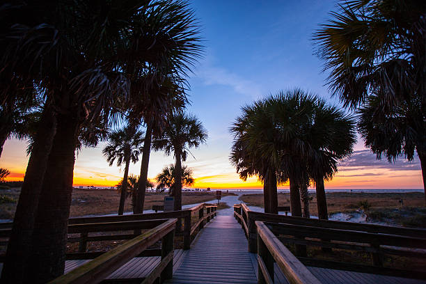 istock Beach entrance in Sand Key Park, Florida 468433404