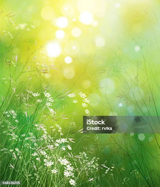 Upward Shot Of Small White Flowers In The Green Grass Stock Illustration - Download Image Now