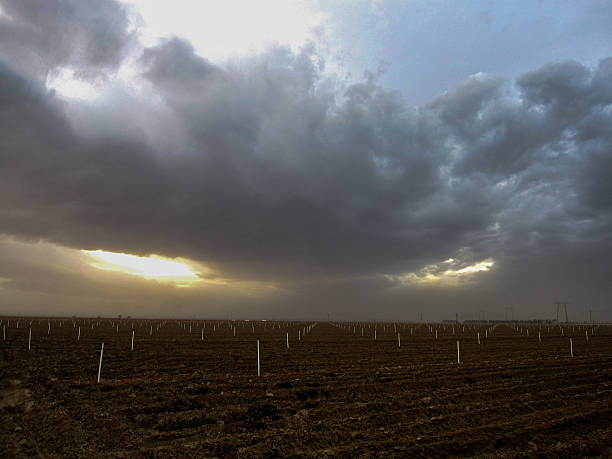 Dramatic Sky over a plantation in central California. stock photo