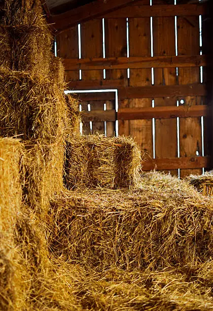 Photo of Piles of hay in a hayloft in a barn