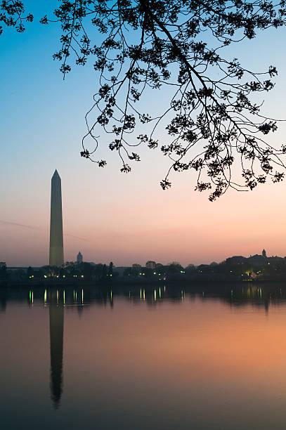 istock Washington Monument with Cherry Blossoms Before Dawn 468437847