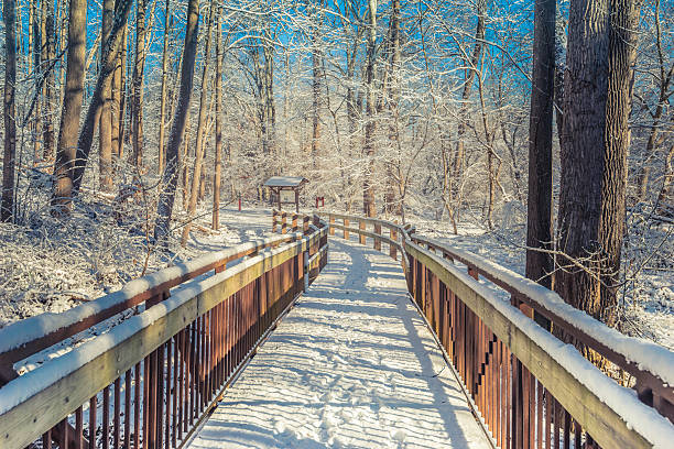 istock Snow covered wooden bridge 468439033