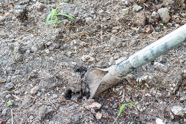 istock spade on garden soil 468439510