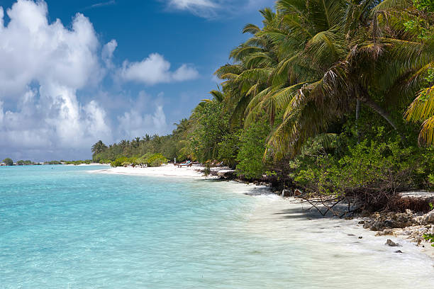 istock sandy beach at the cyan sea. Maldives 468440878