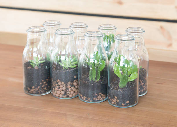 istock Plants decorate in glass bottle 468440896