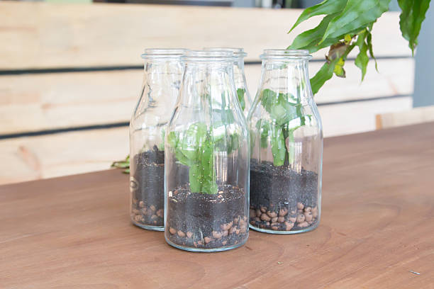 istock Plants decorate in glass bottle 468441000