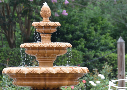 Running water fountain in a formal rose garden