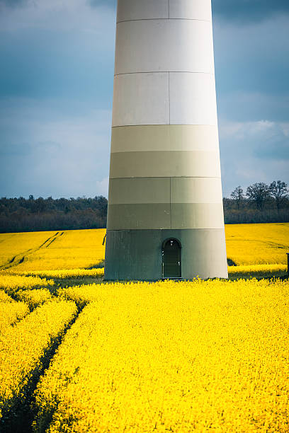 풍력발전기 in blossoming 카놀라 필드 - wind turbine austria field yellow 뉴스 사진 이미지