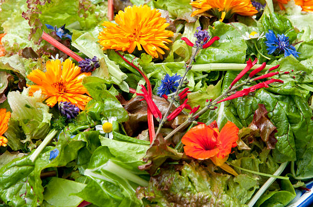 istock garden salad with eatable flowers 468443500