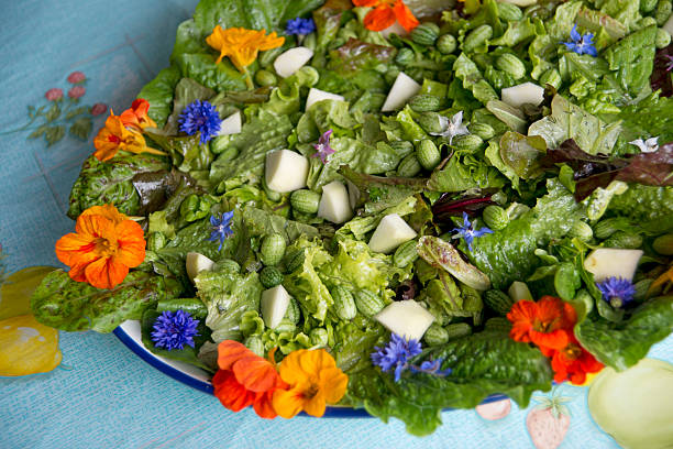 istock garden salad with eatable flowers 468443866