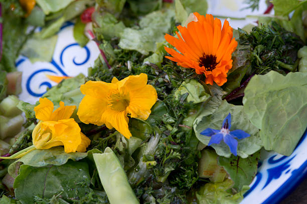 istock garden salad with eatable flowers 468443870
