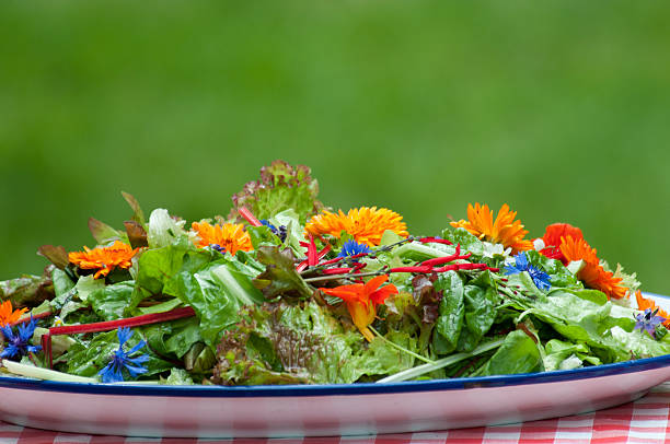 garden salad with eatable flowers stock photo