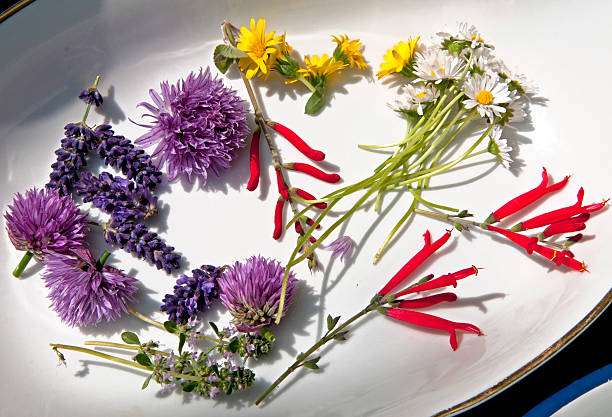 istock eatable flowers fresh from garden 468443922