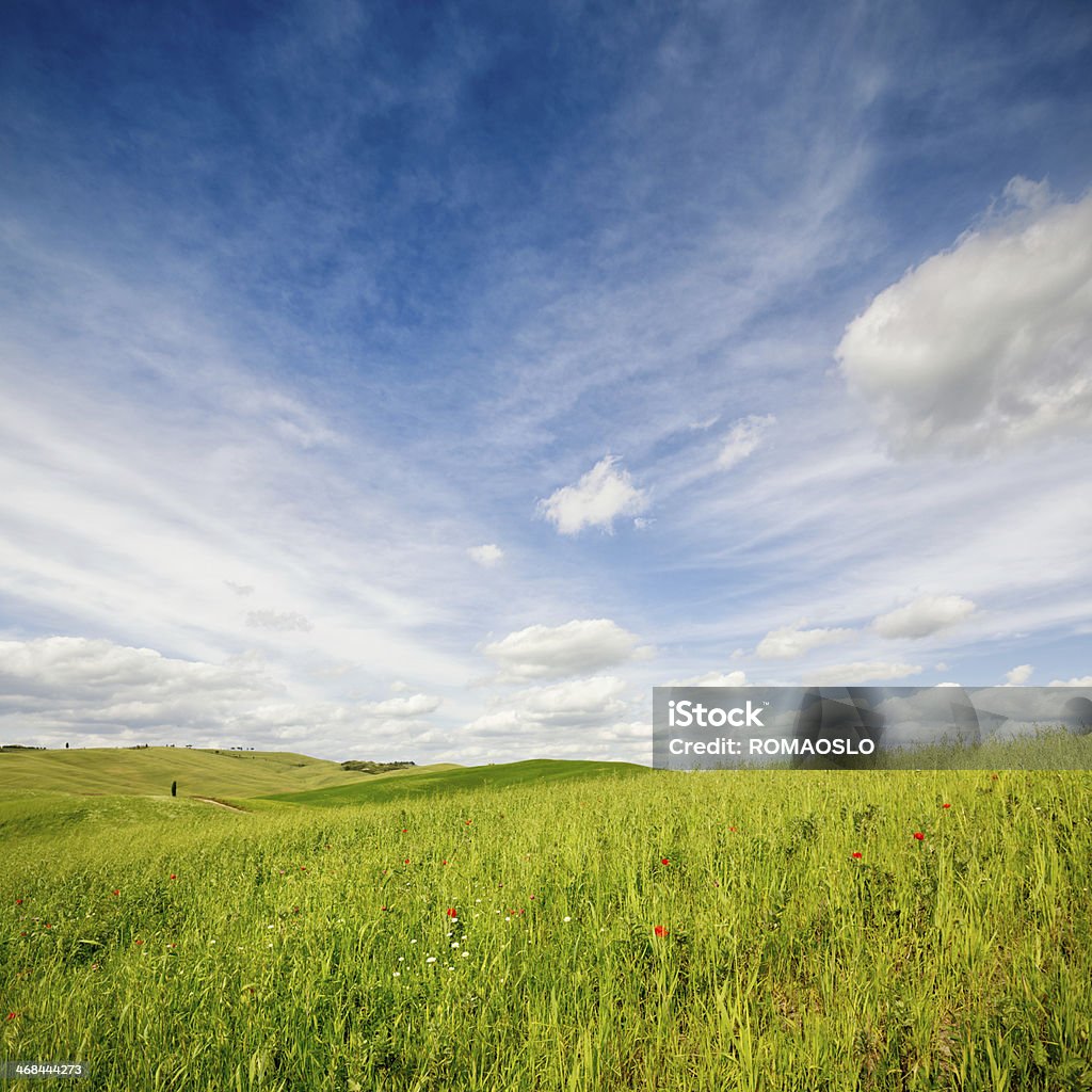 Campo e Panorama di nuvole in Val d'Orcia, Toscana, Italia - Foto stock royalty-free di Agricoltura