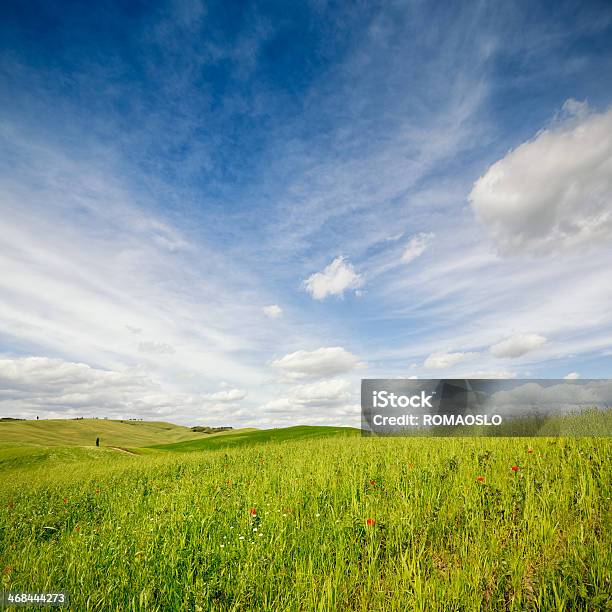 Campo E Panorama Di Nuvole In Val Dorcia Toscana Italia - Fotografie stock e altre immagini di Agricoltura