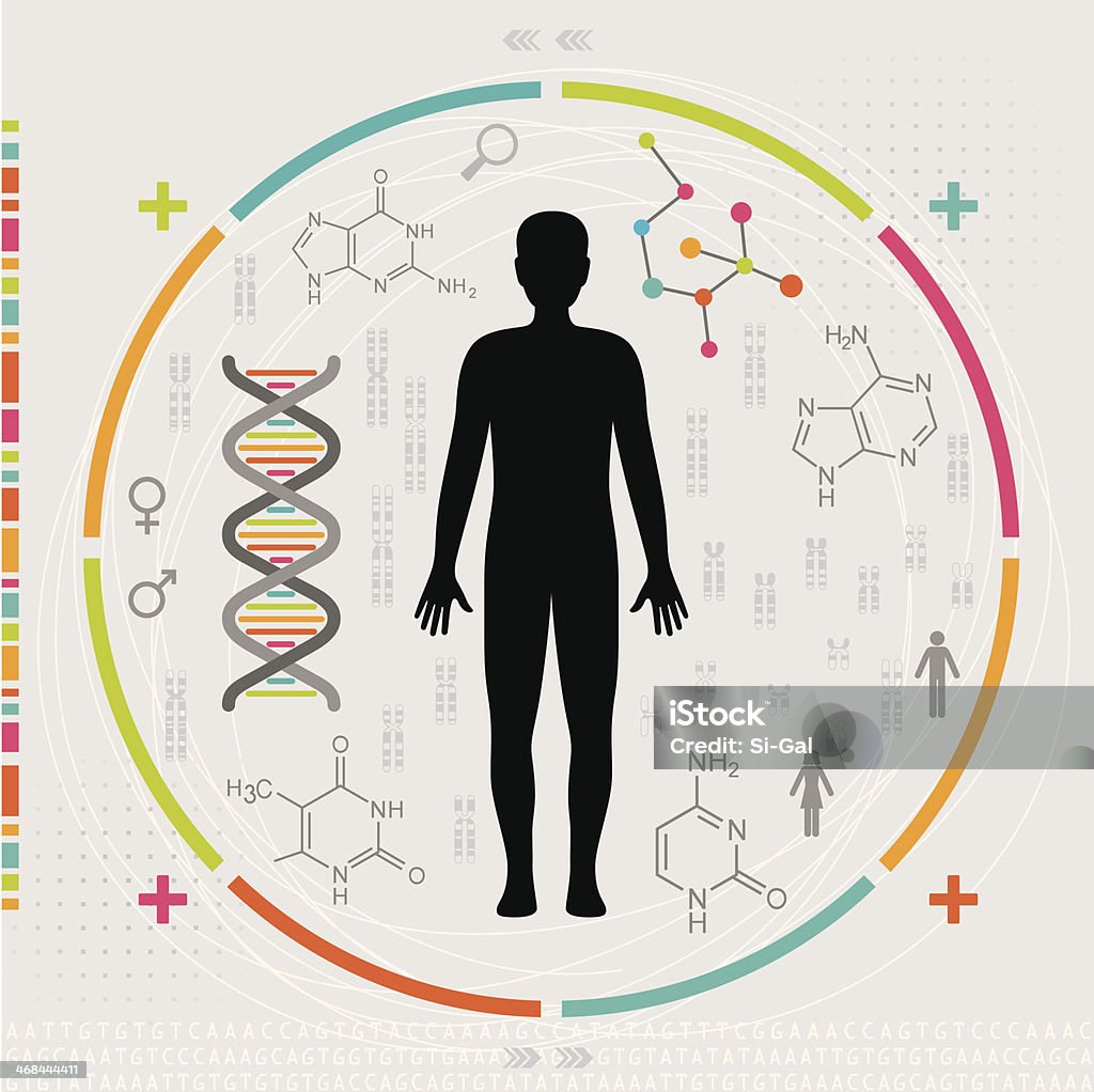 Corpo humano-ADN de genes e cromossomas - Royalty-free ADN arte vetorial