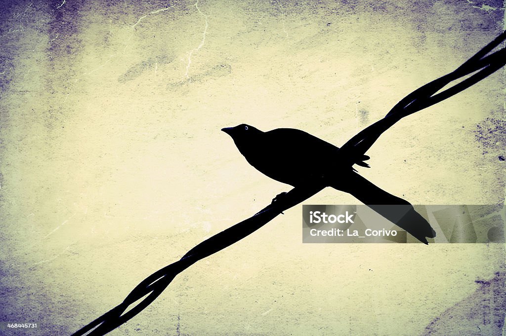 Silueta de Crow en el cable - Foto de stock de Cuervo libre de derechos