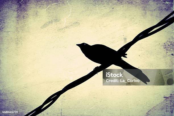 Silueta De Crow En El Cable Foto de stock y más banco de imágenes de Cuervo - Cuervo, Línea telefónica, A ver pájaros