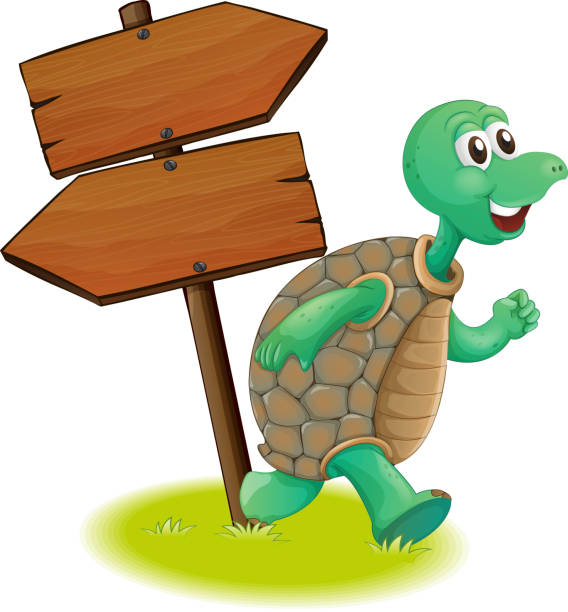 ilustraciones, imágenes clip art, dibujos animados e iconos de stock de arrowboards de madera junto a la tortuga - turtle grass