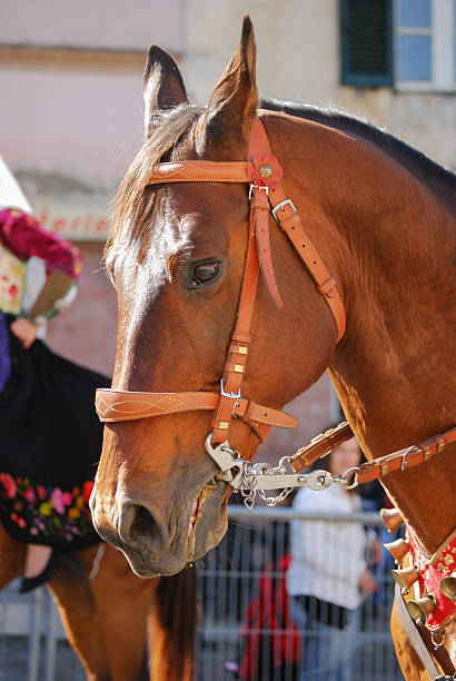 istock Folk of Sardinia 468449644