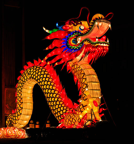 dragon a noite - japanese lantern fotos - fotografias e filmes do acervo