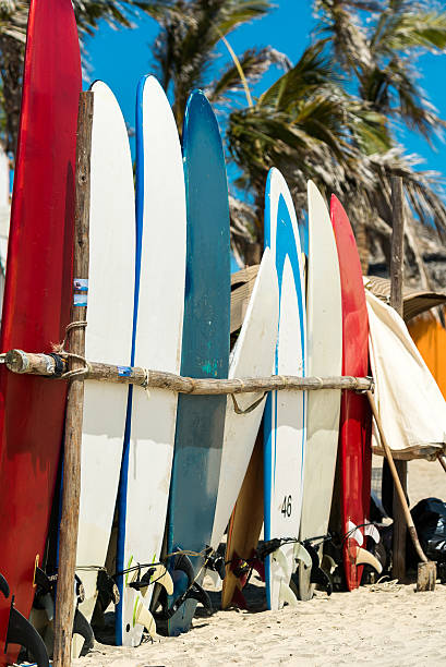 istock Surfboards for rent on the beach 468454124
