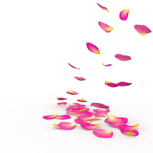 istock Petals of roses fall on a floor 468458904