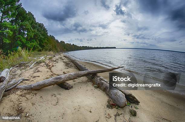 Cloudy Skies Over Body Of Water Stock Photo - Download Image Now - South Carolina, 2015, Branch - Plant Part