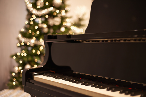 Shot of a piano in a living room on christmashttp://195.154.178.81/DATA/i_collage/pu/shoots/785428.jpg