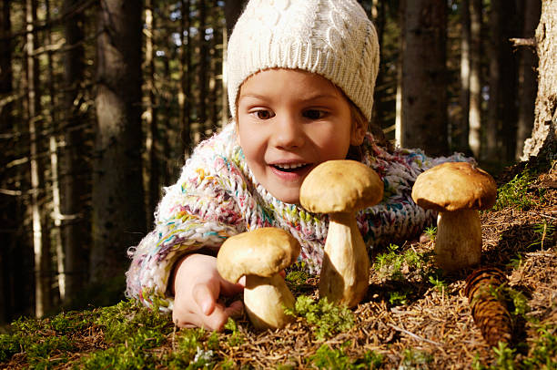 Girl watching boletes in forest stock photo