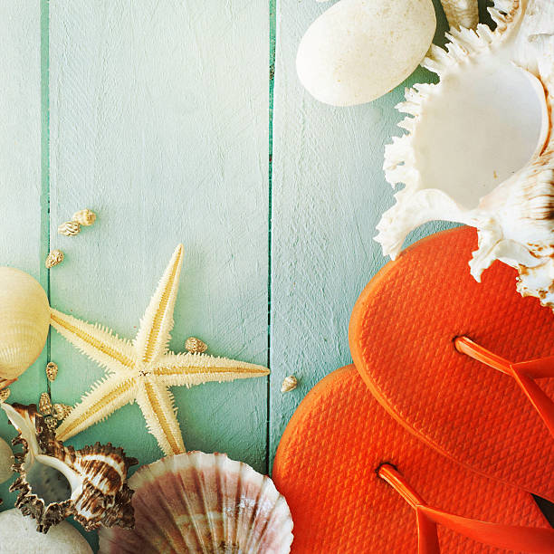 istock summer time with fish star and sea shells on the 468466058