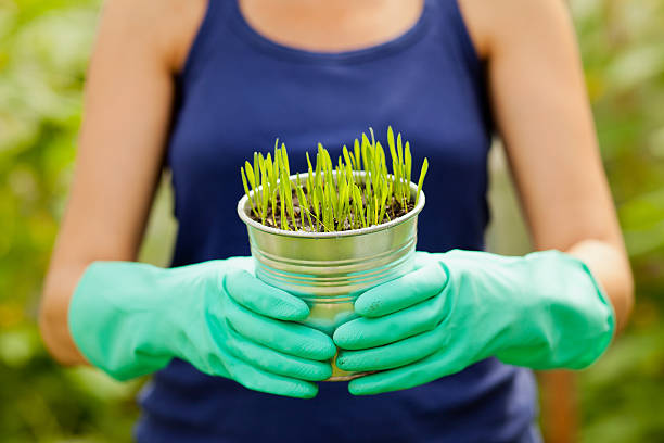 istock Woman gardener 468467481