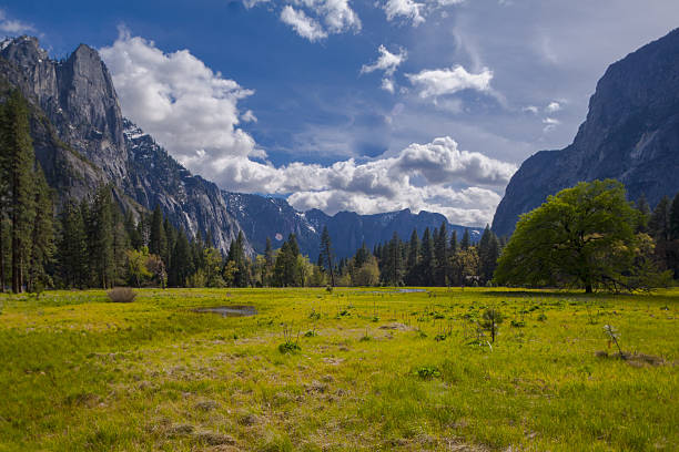 istock Yosemite National Park 468469551