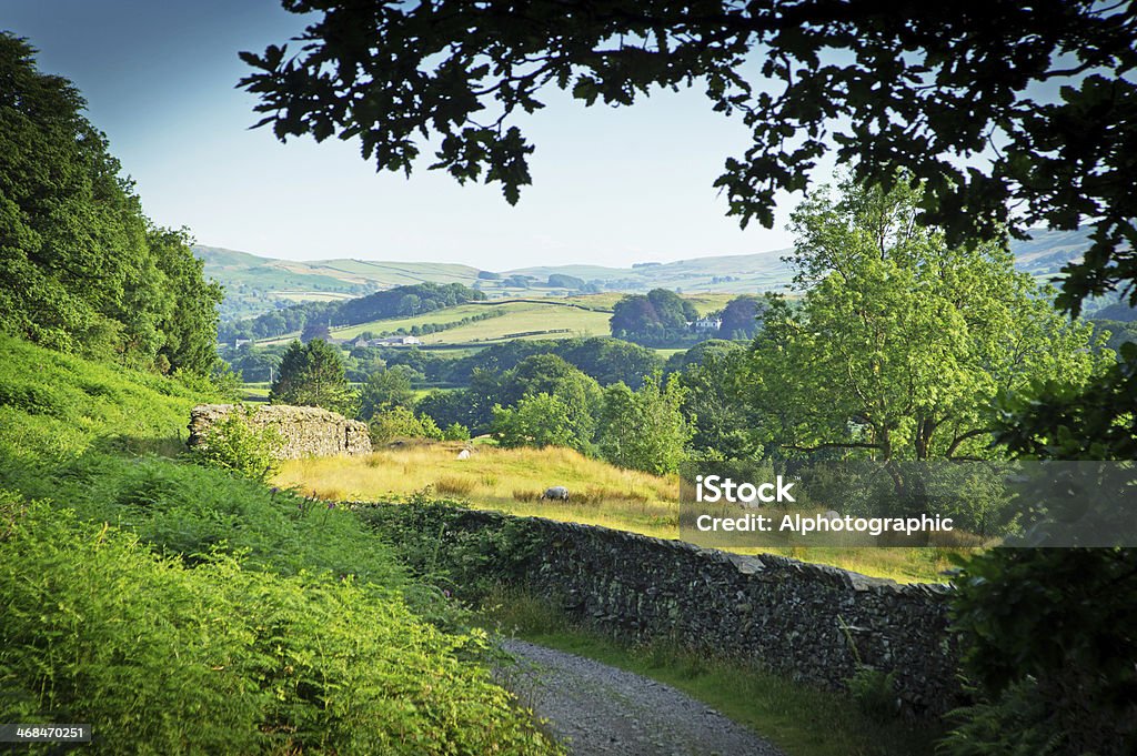 Strada vicino Coniston water - Foto stock royalty-free di Ambientazione esterna