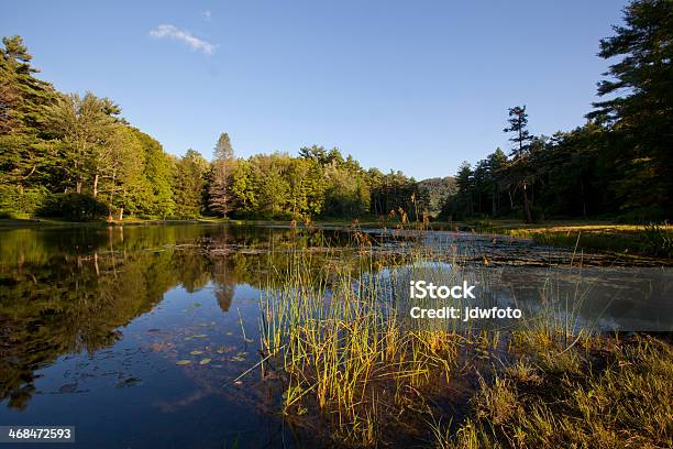 Pond Al Wild Ettari Di Parco - Fotografie stock e altre immagini di Massachusetts - Massachusetts, The Berkshires, Acqua