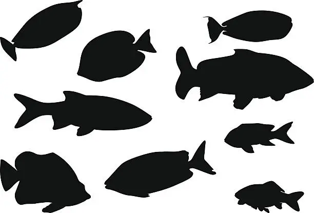 Vector illustration of Fishes